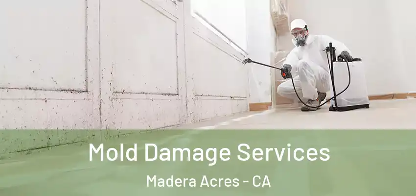  Mold Damage Services Madera Acres - CA