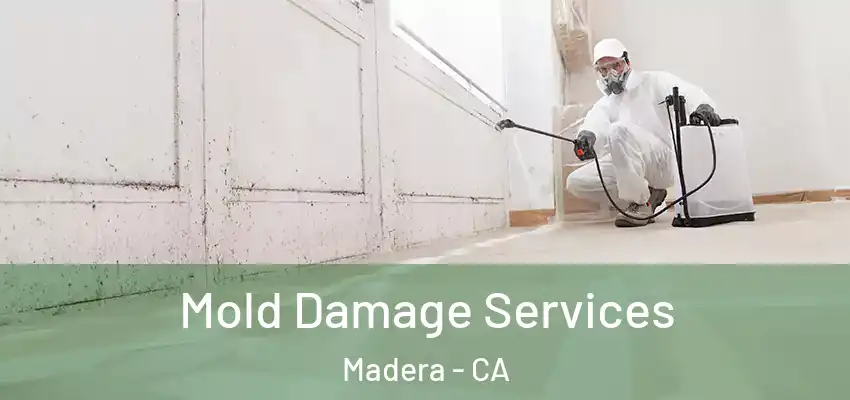  Mold Damage Services Madera - CA