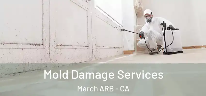  Mold Damage Services March ARB - CA