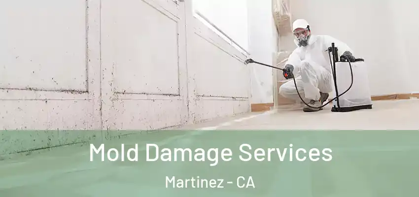  Mold Damage Services Martinez - CA