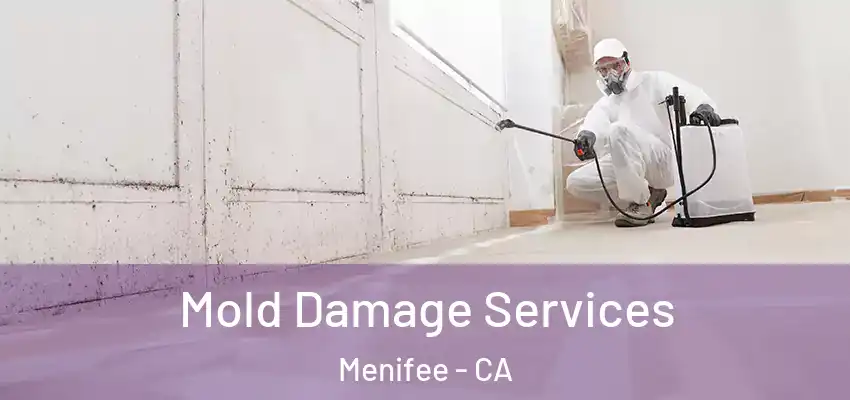  Mold Damage Services Menifee - CA