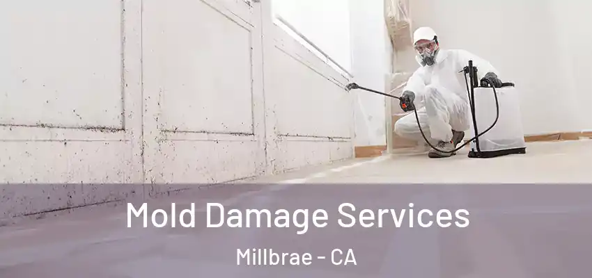  Mold Damage Services Millbrae - CA
