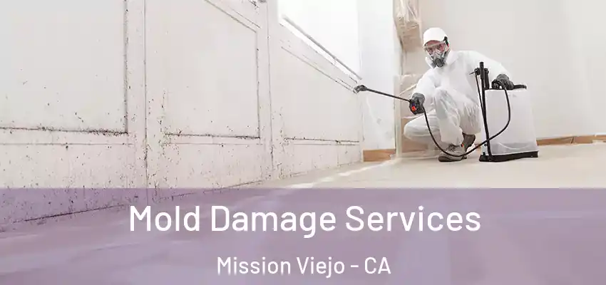  Mold Damage Services Mission Viejo - CA