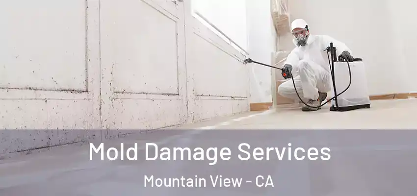  Mold Damage Services Mountain View - CA