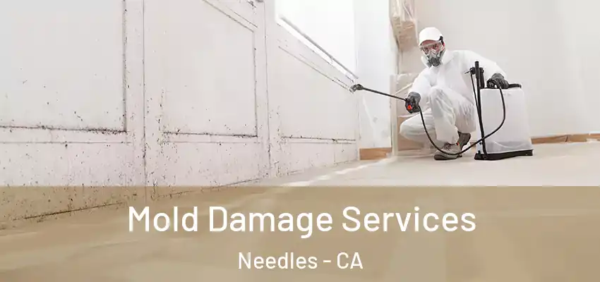  Mold Damage Services Needles - CA