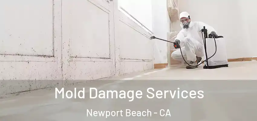  Mold Damage Services Newport Beach - CA