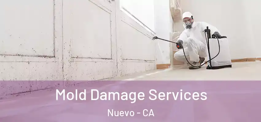  Mold Damage Services Nuevo - CA
