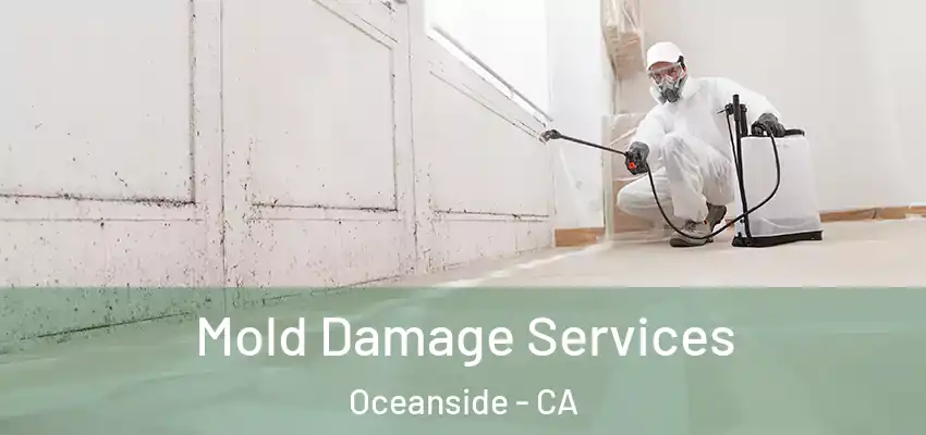  Mold Damage Services Oceanside - CA