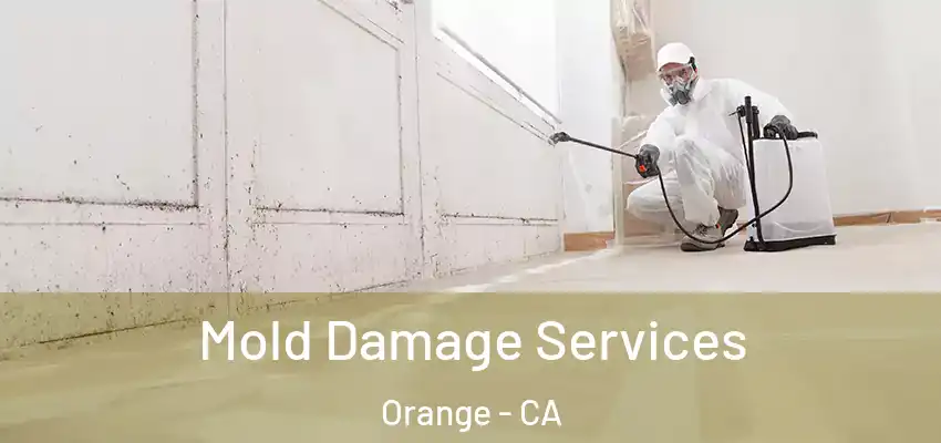  Mold Damage Services Orange - CA