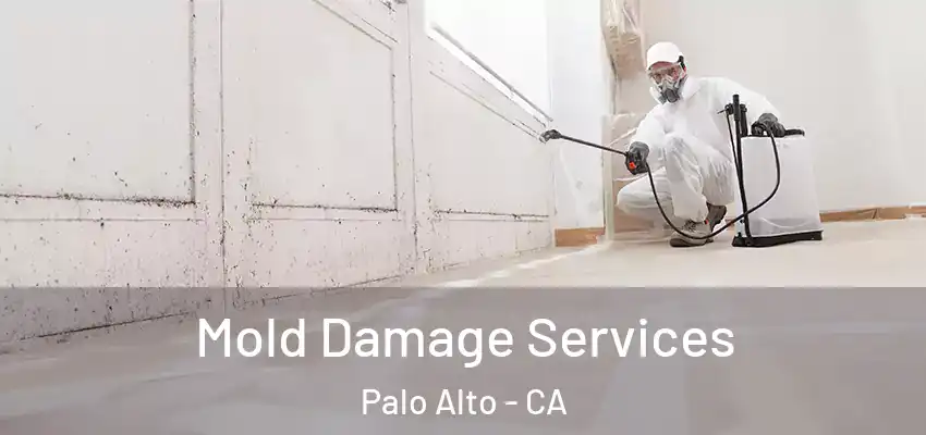  Mold Damage Services Palo Alto - CA
