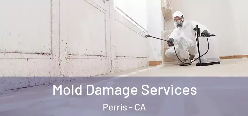  Mold Damage Services Perris - CA