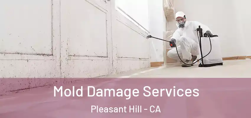  Mold Damage Services Pleasant Hill - CA