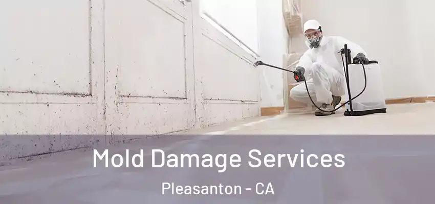  Mold Damage Services Pleasanton - CA