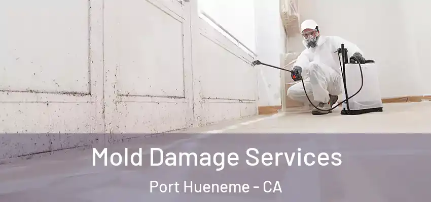  Mold Damage Services Port Hueneme - CA