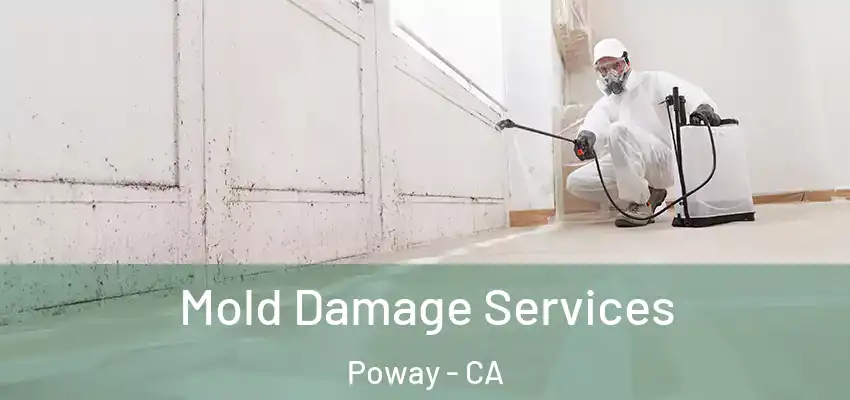  Mold Damage Services Poway - CA