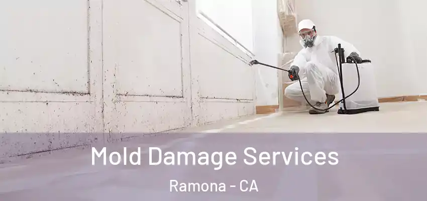  Mold Damage Services Ramona - CA