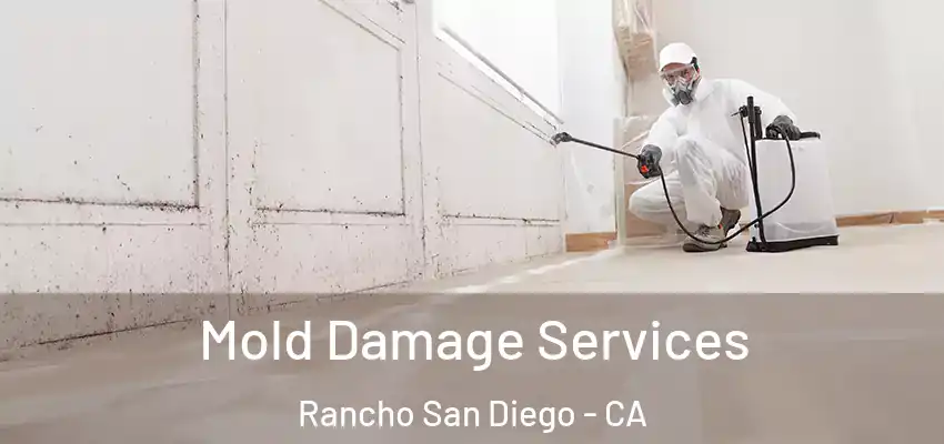  Mold Damage Services Rancho San Diego - CA