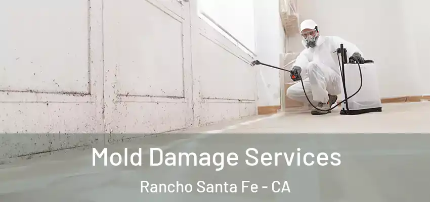  Mold Damage Services Rancho Santa Fe - CA