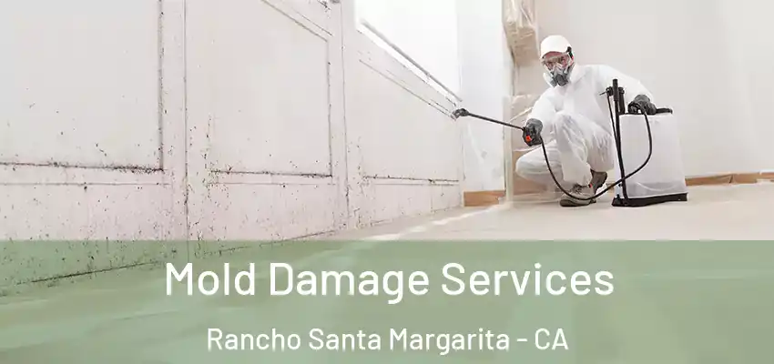  Mold Damage Services Rancho Santa Margarita - CA