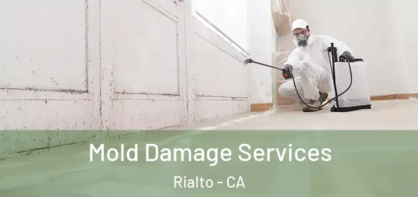  Mold Damage Services Rialto - CA