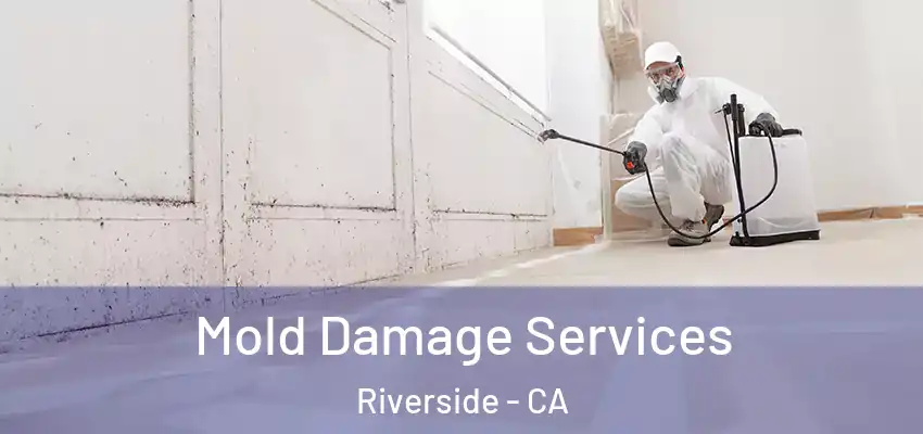  Mold Damage Services Riverside - CA
