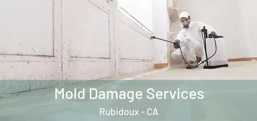  Mold Damage Services Rubidoux - CA
