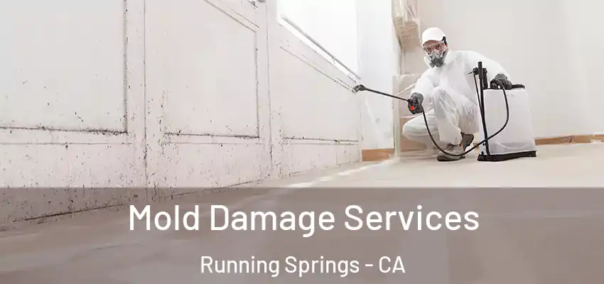  Mold Damage Services Running Springs - CA