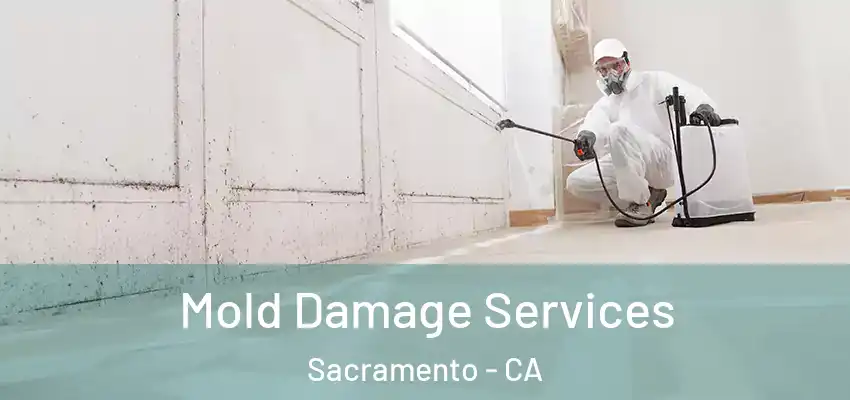  Mold Damage Services Sacramento - CA