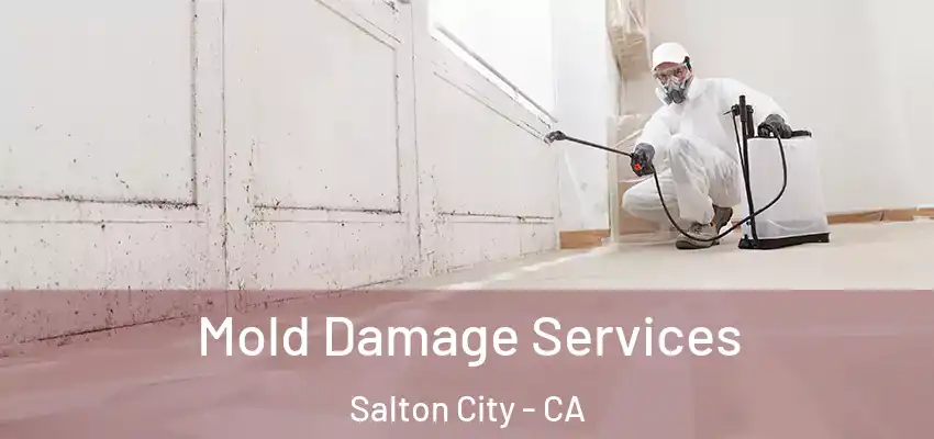  Mold Damage Services Salton City - CA