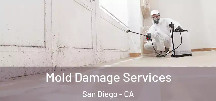  Mold Damage Services San Diego - CA