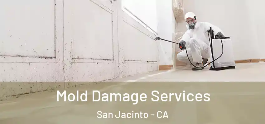  Mold Damage Services San Jacinto - CA