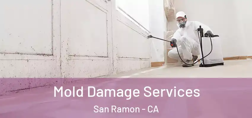  Mold Damage Services San Ramon - CA