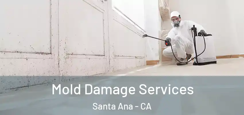  Mold Damage Services Santa Ana - CA