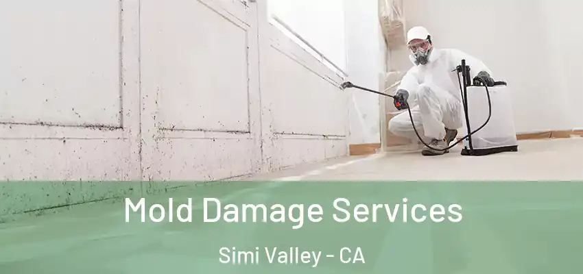  Mold Damage Services Simi Valley - CA