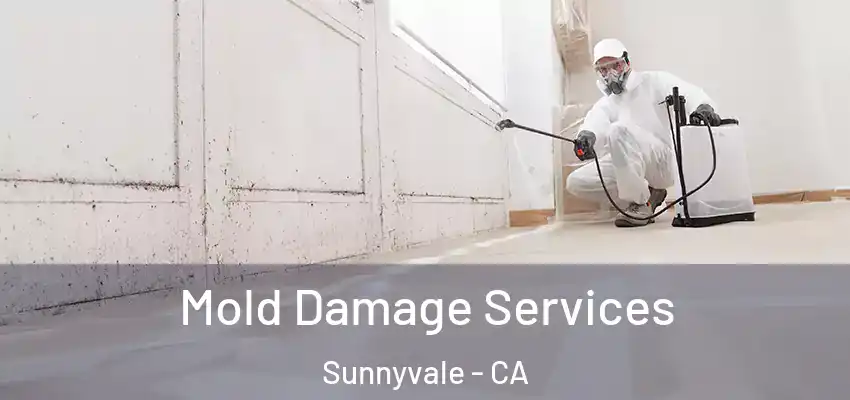  Mold Damage Services Sunnyvale - CA