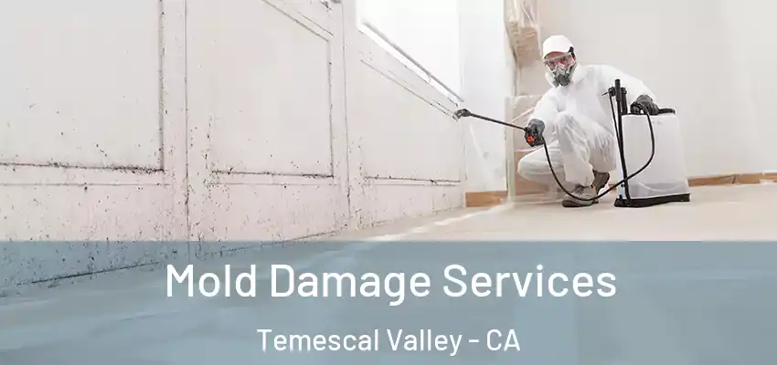  Mold Damage Services Temescal Valley - CA