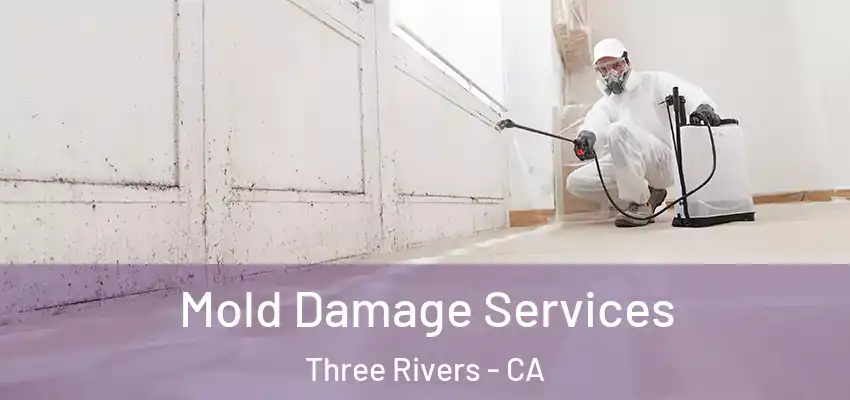  Mold Damage Services Three Rivers - CA