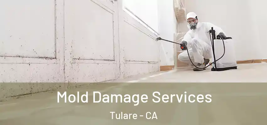  Mold Damage Services Tulare - CA