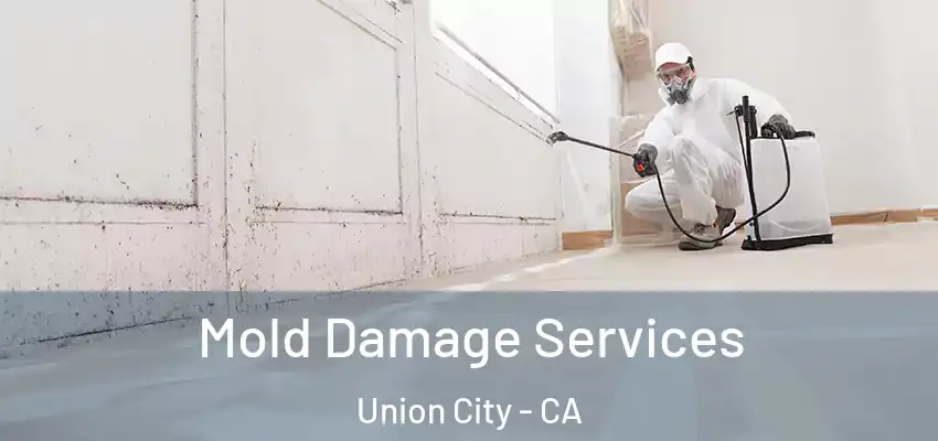  Mold Damage Services Union City - CA