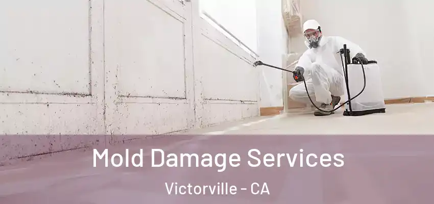  Mold Damage Services Victorville - CA