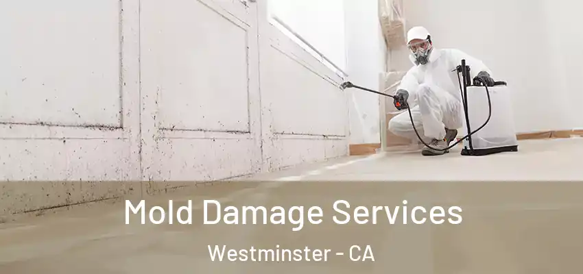  Mold Damage Services Westminster - CA