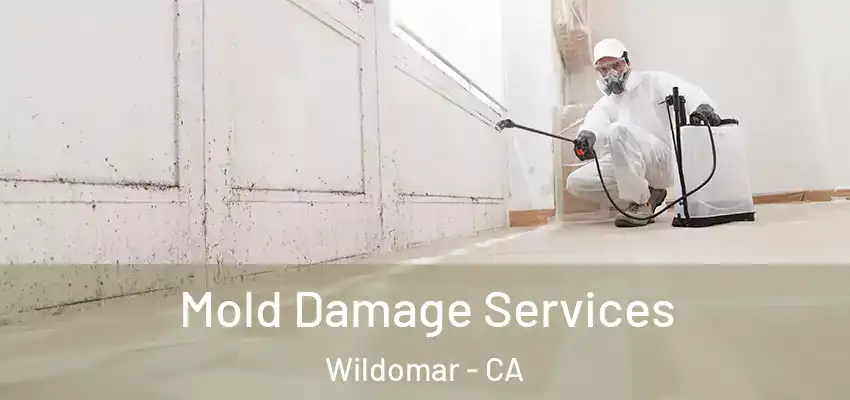  Mold Damage Services Wildomar - CA