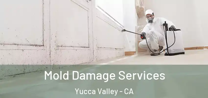 Mold Damage Services Yucca Valley - CA