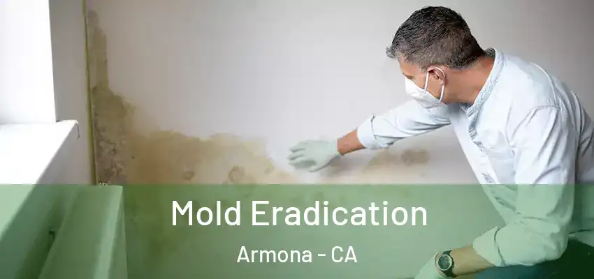  Mold Eradication Armona - CA