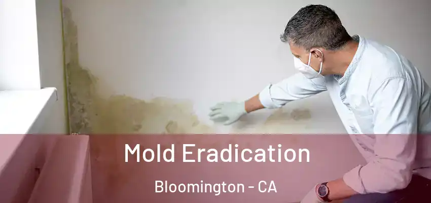  Mold Eradication Bloomington - CA