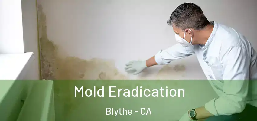  Mold Eradication Blythe - CA