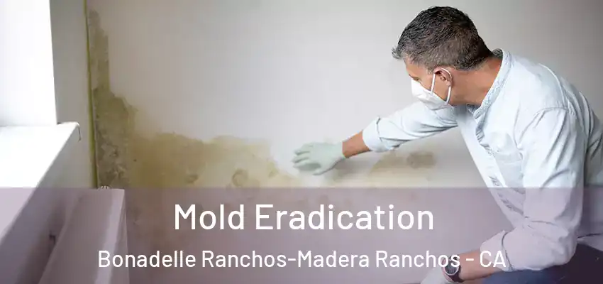  Mold Eradication Bonadelle Ranchos-Madera Ranchos - CA