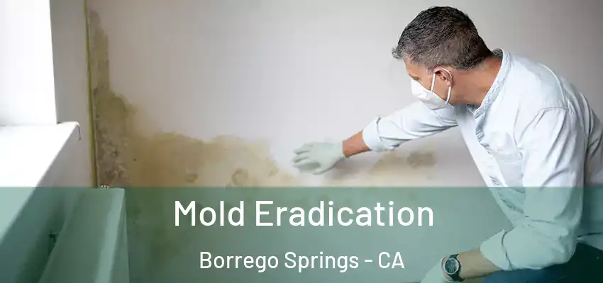  Mold Eradication Borrego Springs - CA