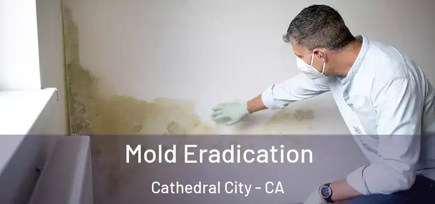  Mold Eradication Cathedral City - CA