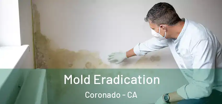  Mold Eradication Coronado - CA